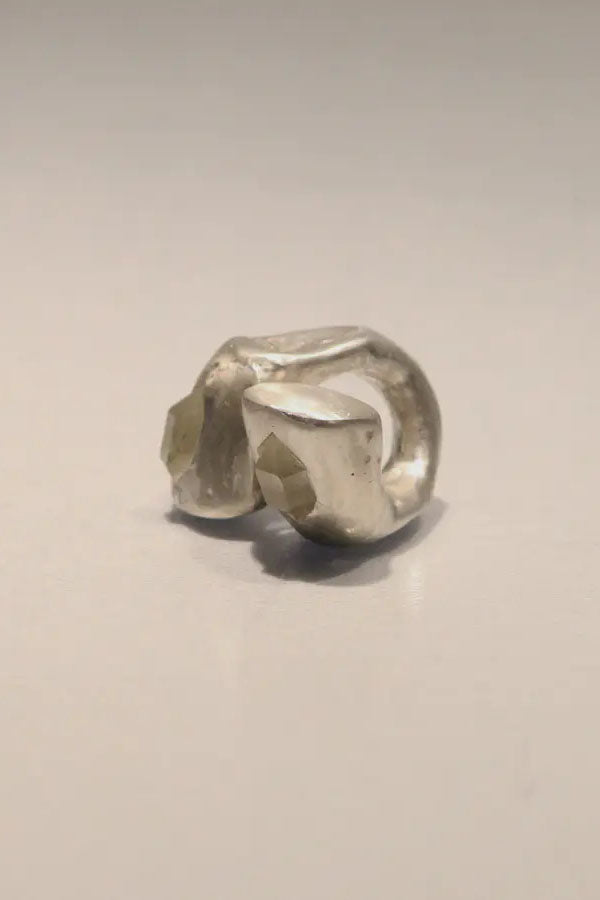 Parts of Four Giant Twisted Ring E1701-15-MA+HER PPOF25